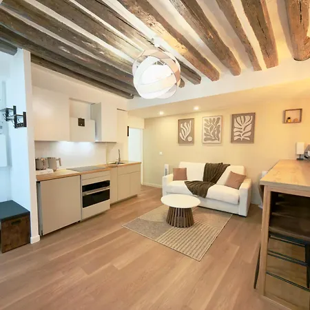 Luxury I Designer Duplex Near Bastille