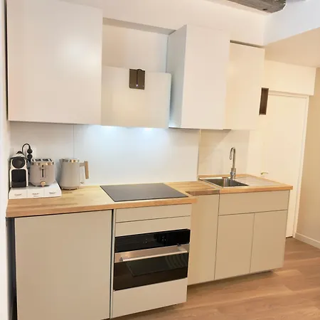 Luxury I Designer Duplex Near Bastille