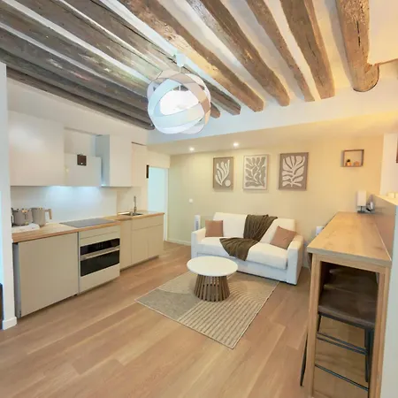 Luxury I Designer Duplex Near Bastille *