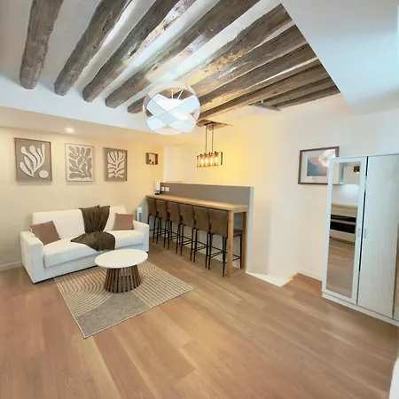 Luxury I Designer Duplex Near Bastille Parijs
